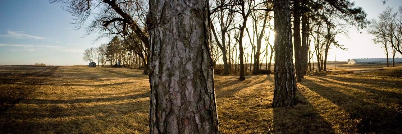 MeyerFarm's profile banner image