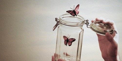 Annarose_LI's profile banner image