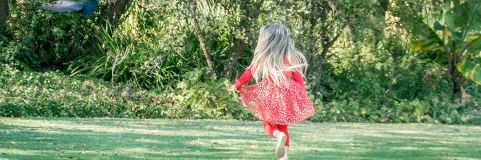 LizStrydom2's profile banner image