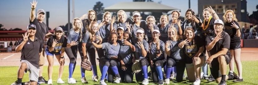 SSHS Ladycat SB banner