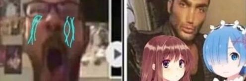 AlpacaPiruleta's profile banner image