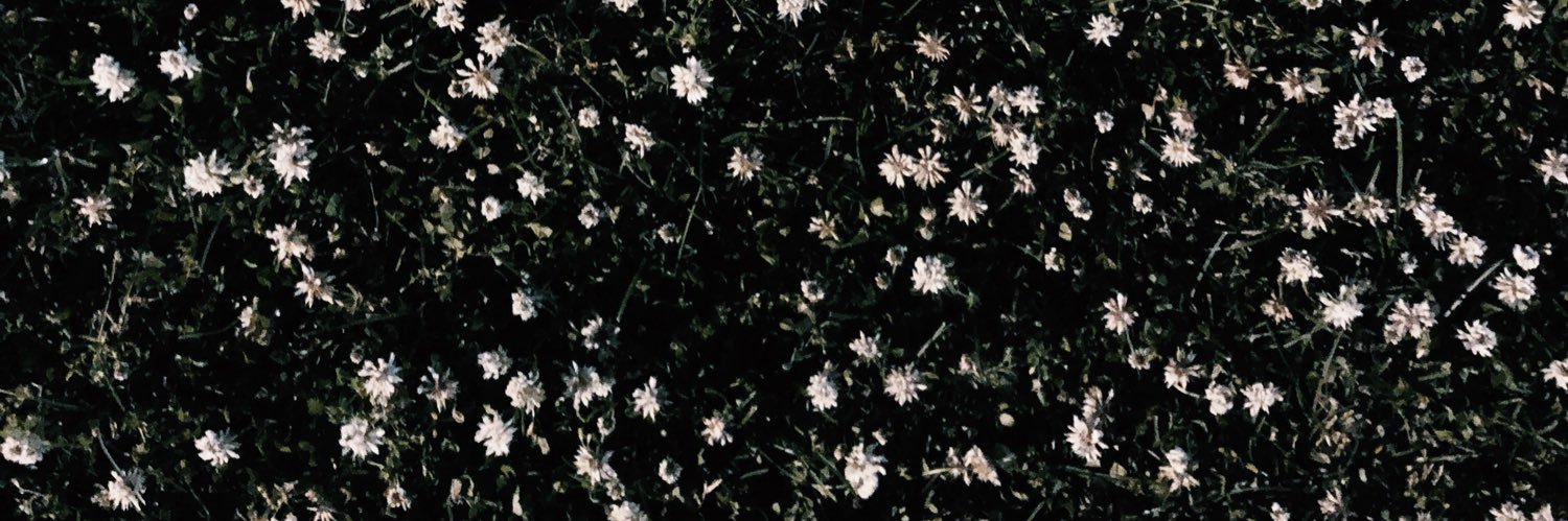 hassytaz's profile banner image