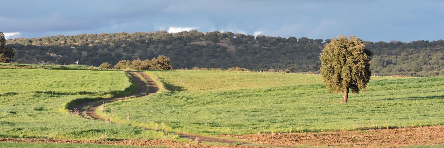 Pablo Fernández banner