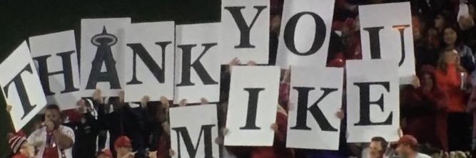 dan the man sometimes banner