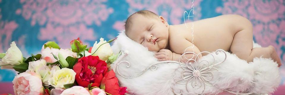 PocholinBaby's profile banner image