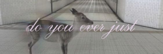 a banner