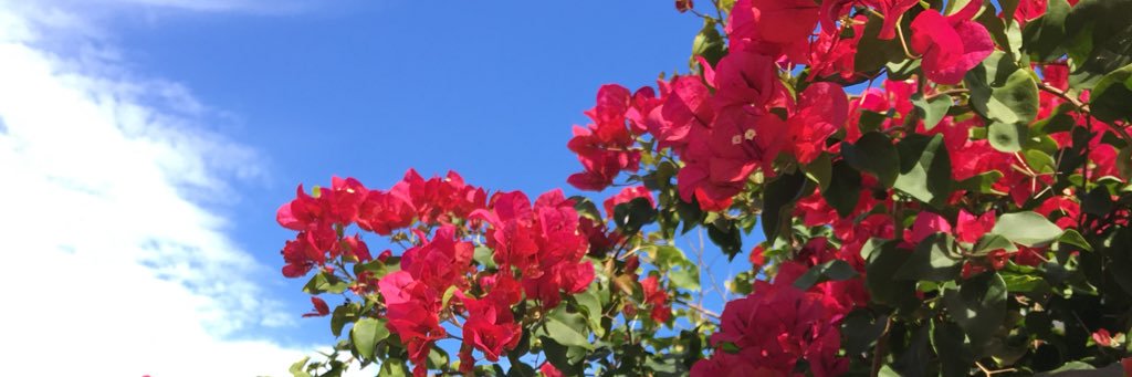 nhermanssoon's profile banner image