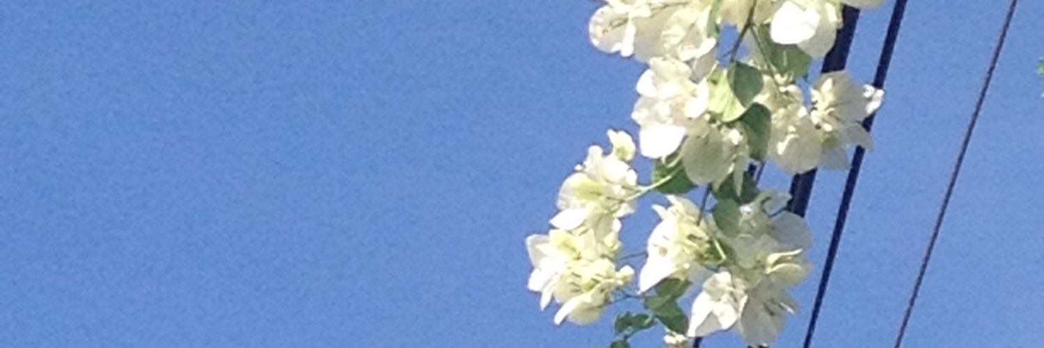 floweurstyles's profile banner image