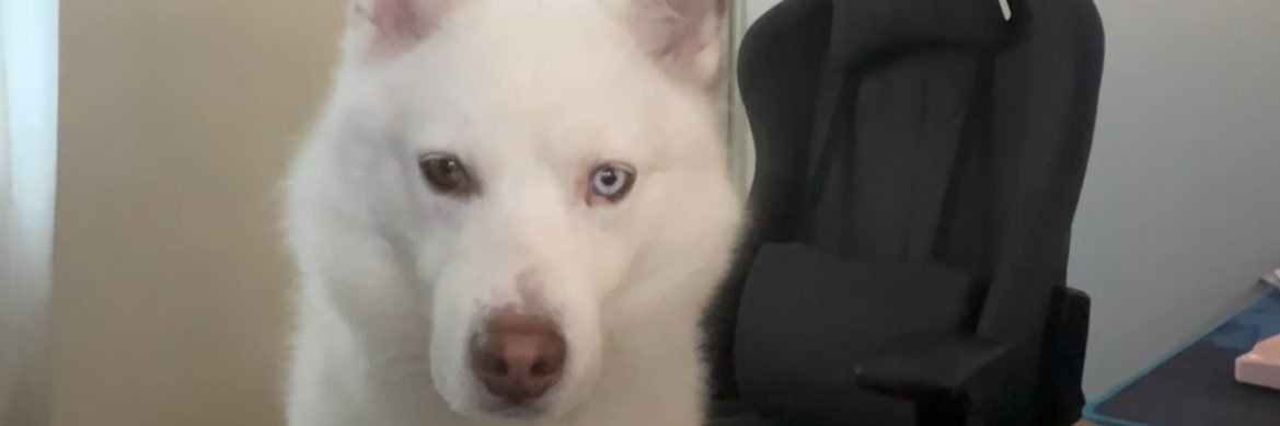_zeyez's profile banner image