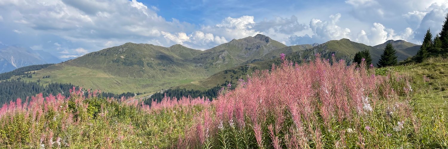 Raphael Leiteritz banner