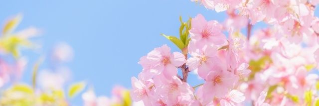 luvearlgrey's profile banner image