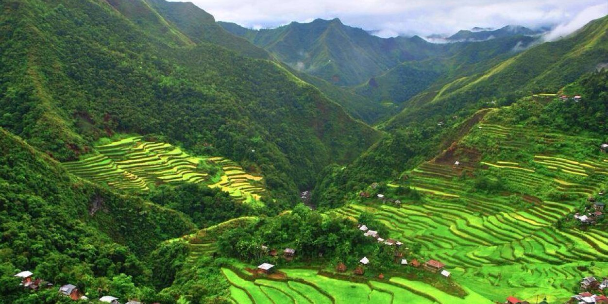 CGT 2015 Philippines banner