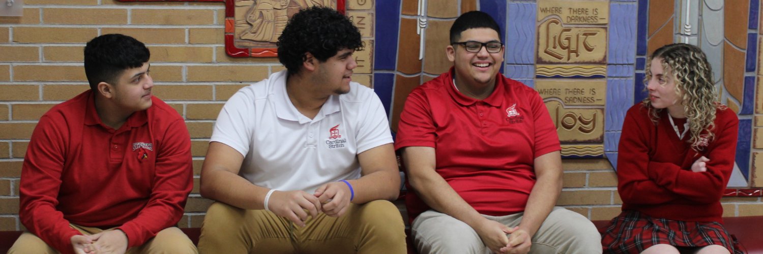 Cardinal Stritch banner