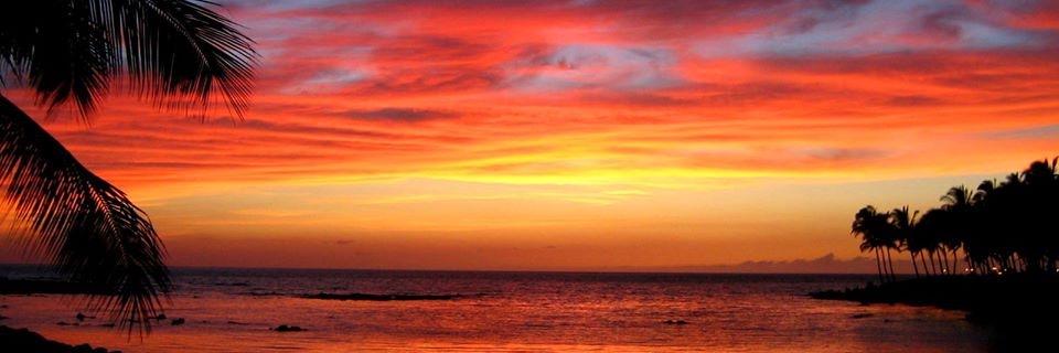 sean_aloha's profile banner image