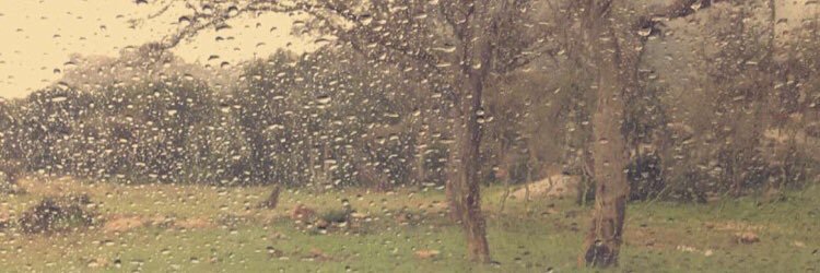 othman8888's profile banner image