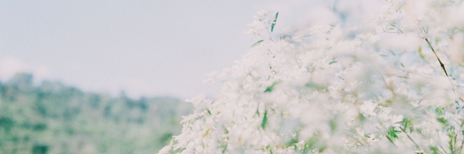 ParfePmm's profile banner image