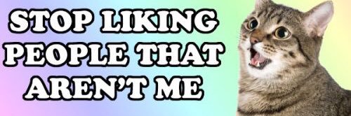 rachaelrox2's profile banner image