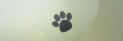 DkKaloc's profile banner image