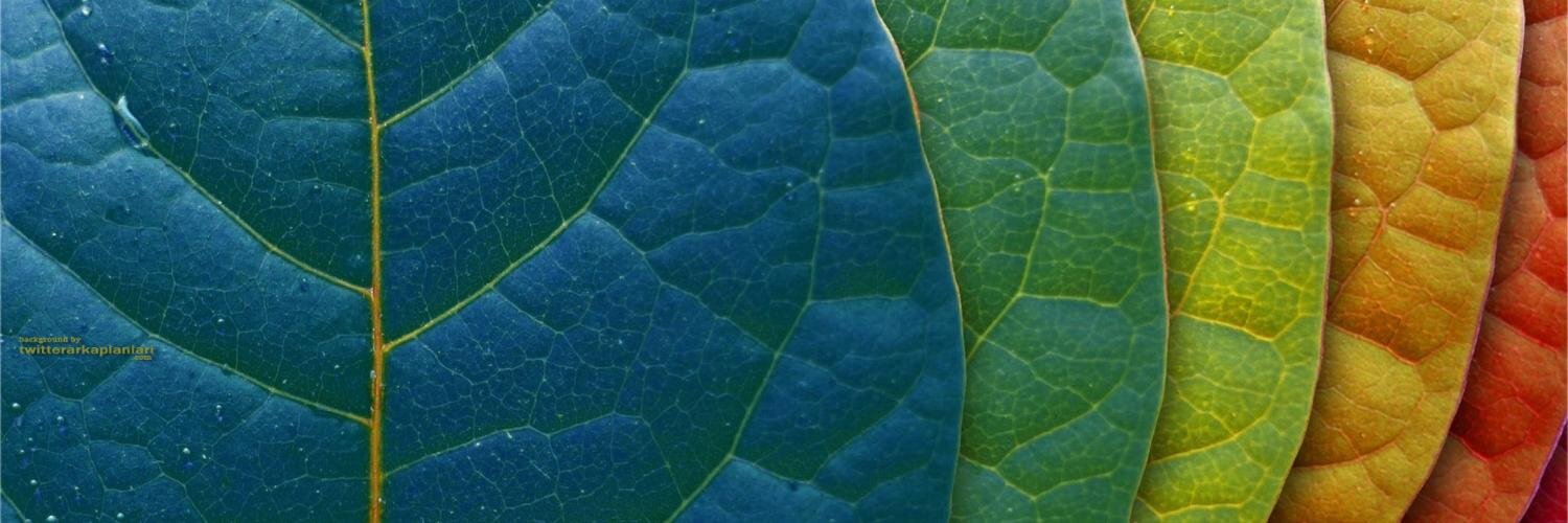 kraladam_'s profile banner image