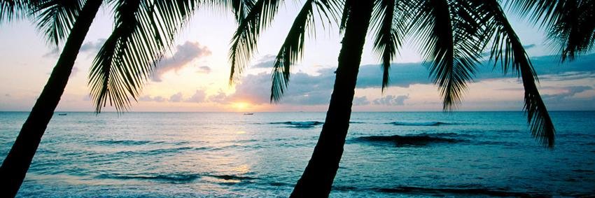 ibbi__3's profile banner image