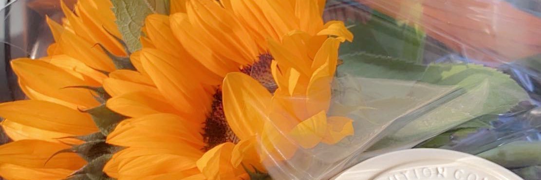 AyeshaAnfooz's profile banner image