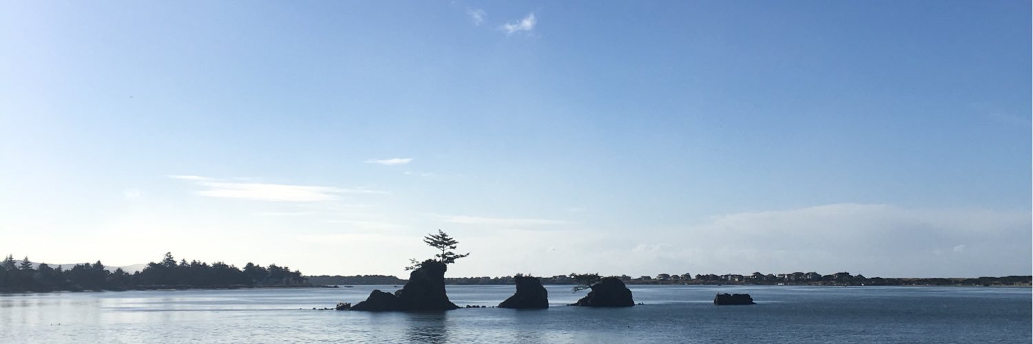TheRealLogDog's profile banner image