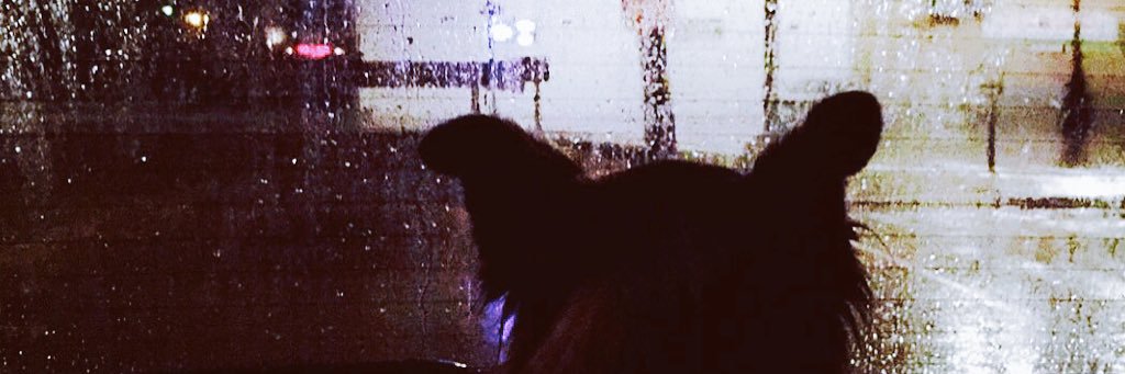 lilwooie's profile banner image