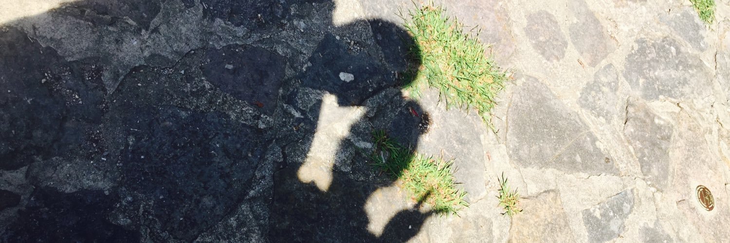 brianksaylor's profile banner image