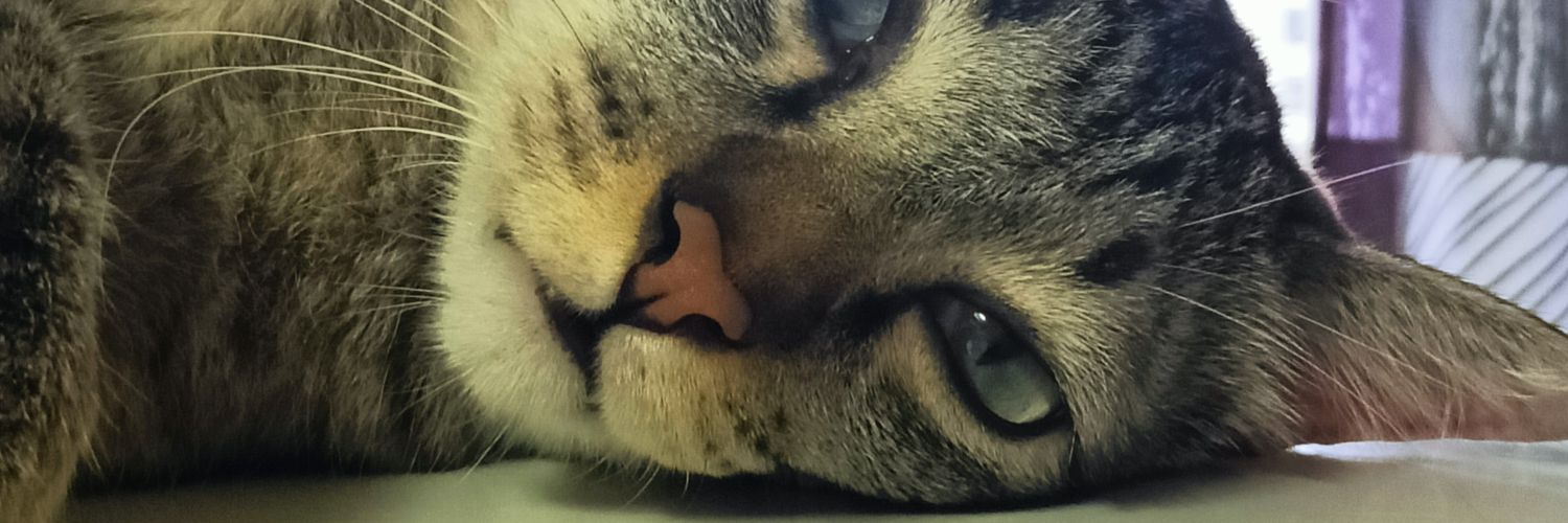 God_BTii's profile banner image