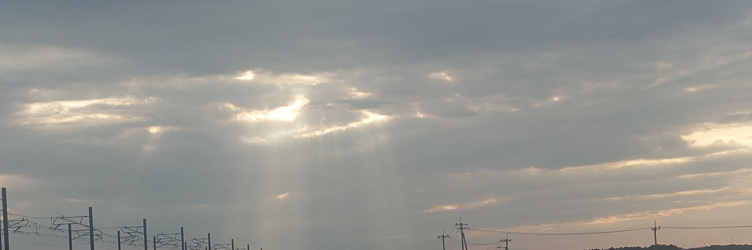 wug_321's profile banner image