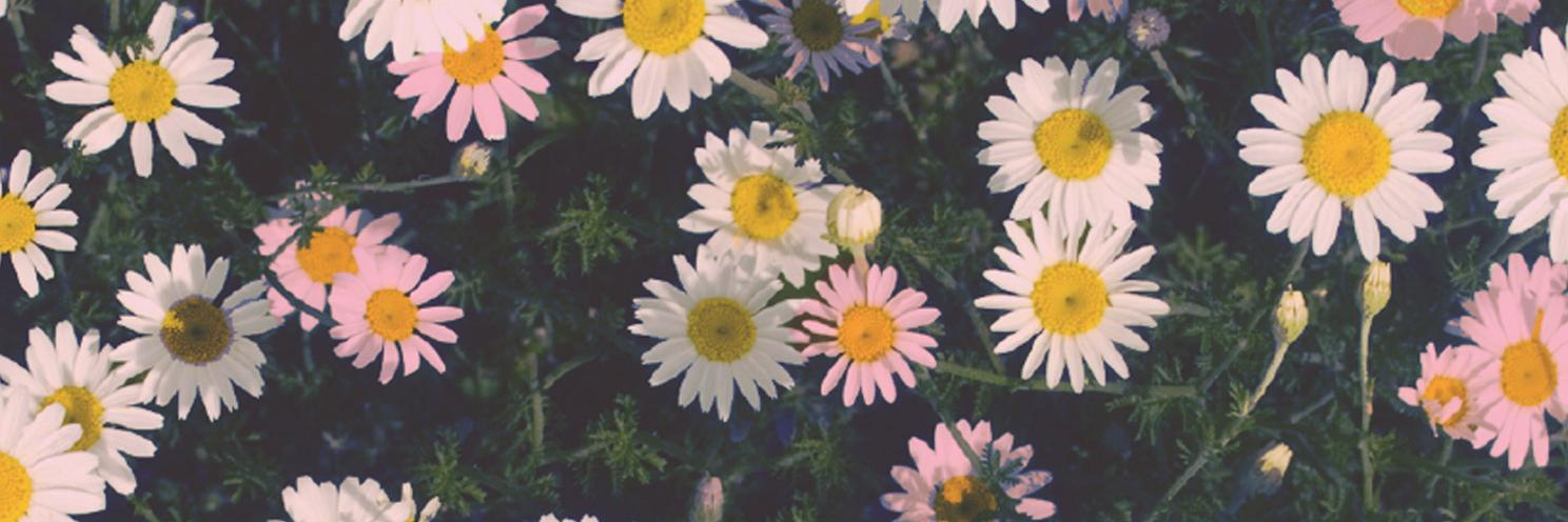 myn banner