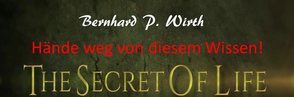 BernhardPWirth's profile banner image