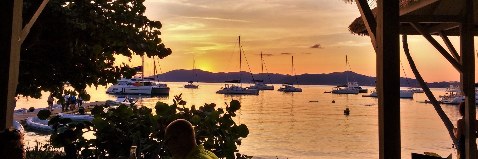 Tommy Freeman banner