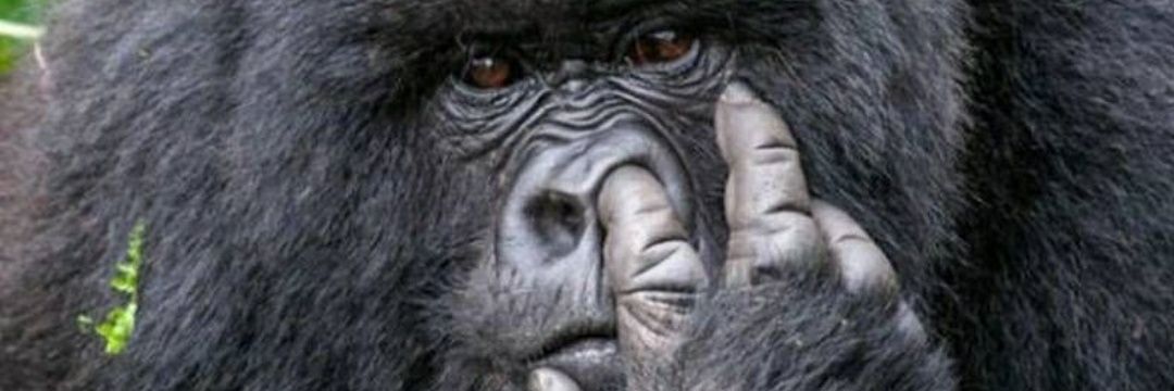 djamel75017's profile banner image
