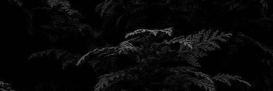realwabwire's profile banner image