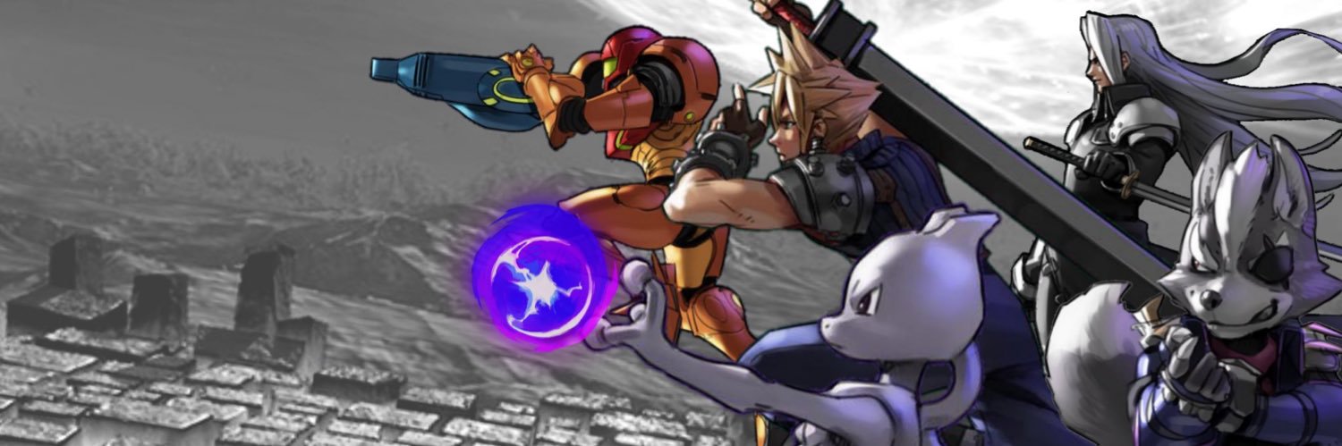 SIN banner