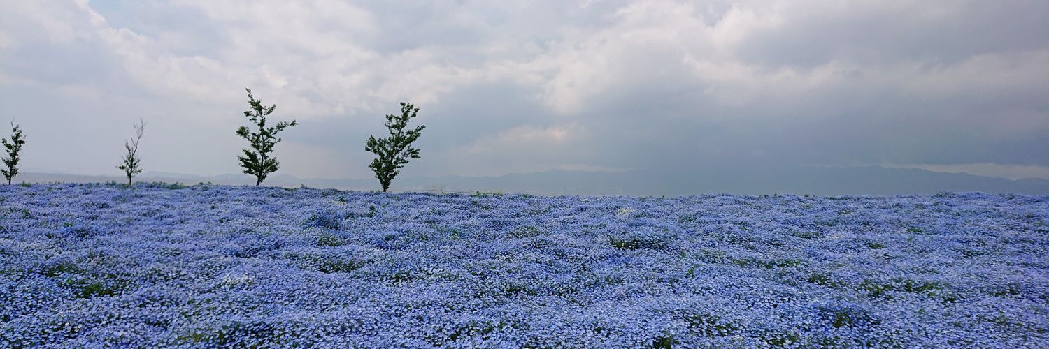 chihaya372's profile banner image