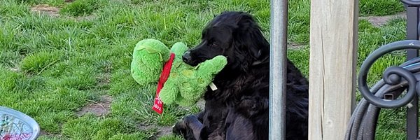 bryty Profile Banner