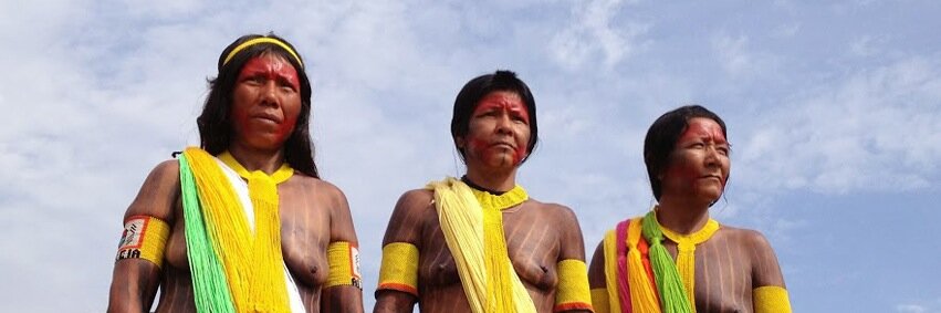 AmazonWatchAAU's profile banner image