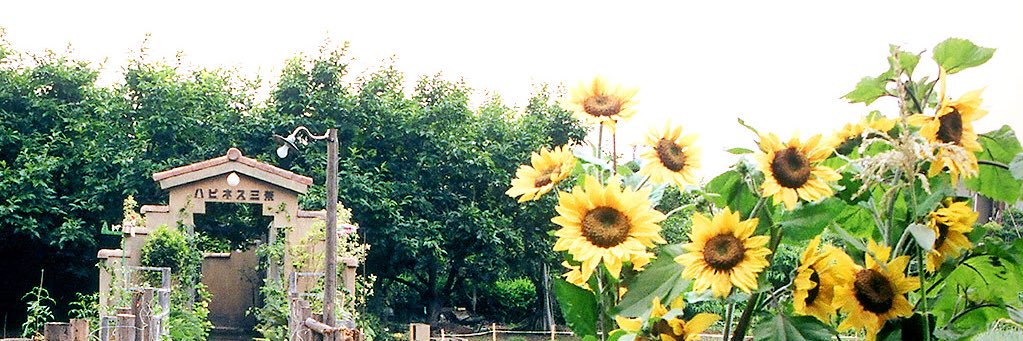 3_mugm's profile banner image