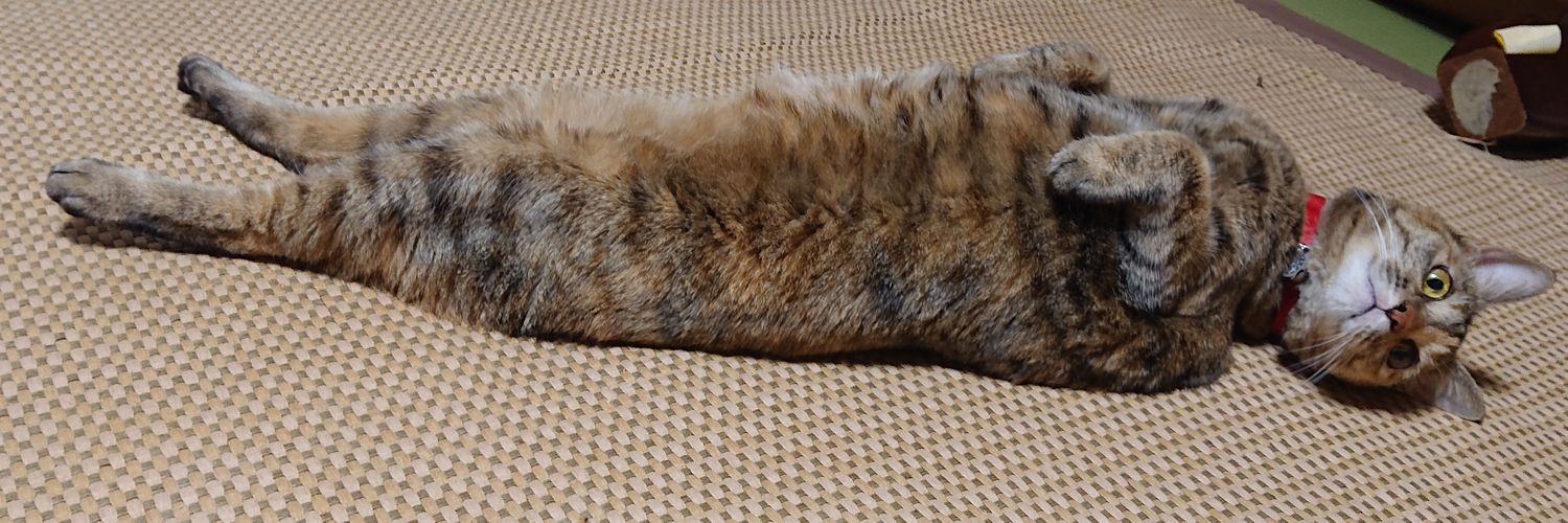 忯子(きしこ)りんはつるばみ色 banner