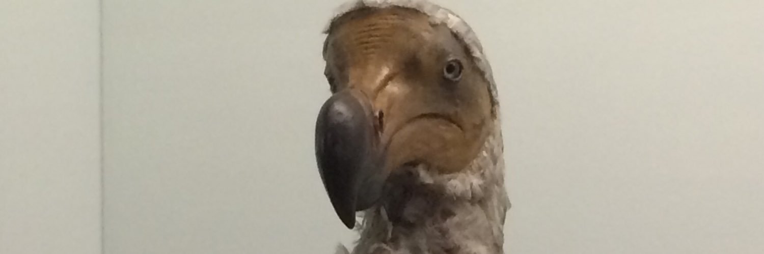 #hellomynameislee.. banner