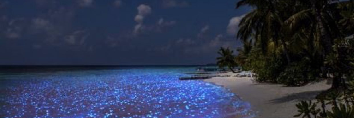 أ.بنا السبيعي🇫🇷💙 banner