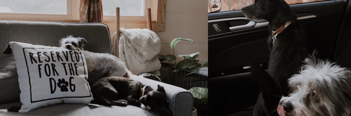 nayexo_'s profile banner image