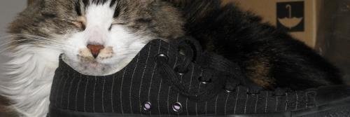 EtheRealGrrl's profile banner image