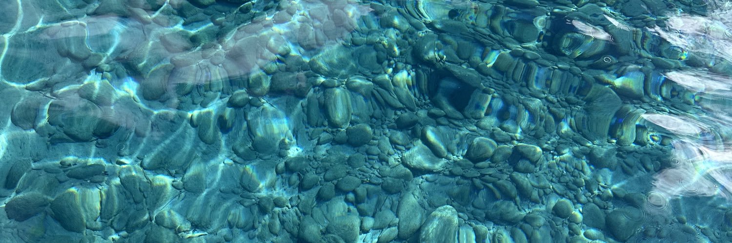 Tracy Geoffroy, CFRE banner