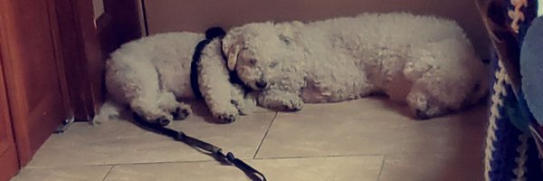 Deckydeck89 Profile Banner