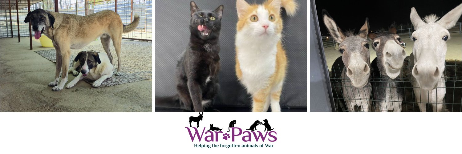 War Paws banner