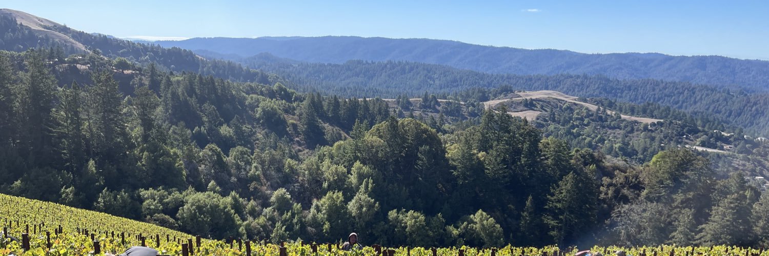 Michelle Zell (she / her / hers) banner