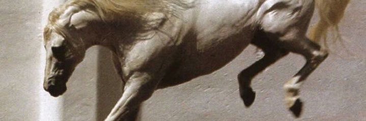 zuzballs's profile banner image